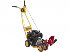 Edge-trimmer with engine Briggs and Stratton serie 550 OHV 