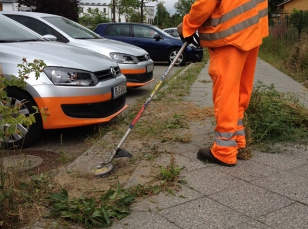 Weed brushcutter head